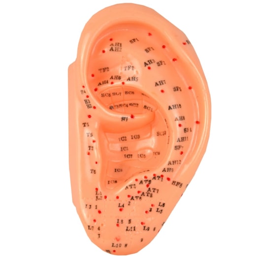 Acupuntura da Orelha Com 13cm