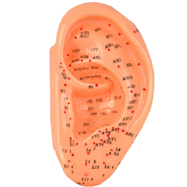 Acupuntura da Orelha Com 13cm-fc8717f9-33e8-4757-8179-4734d29d3d9f
