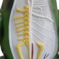 Anatomia do Sapo em Corte Coronal-c4334462-64d5-48a8-8966-b7d0687863c6