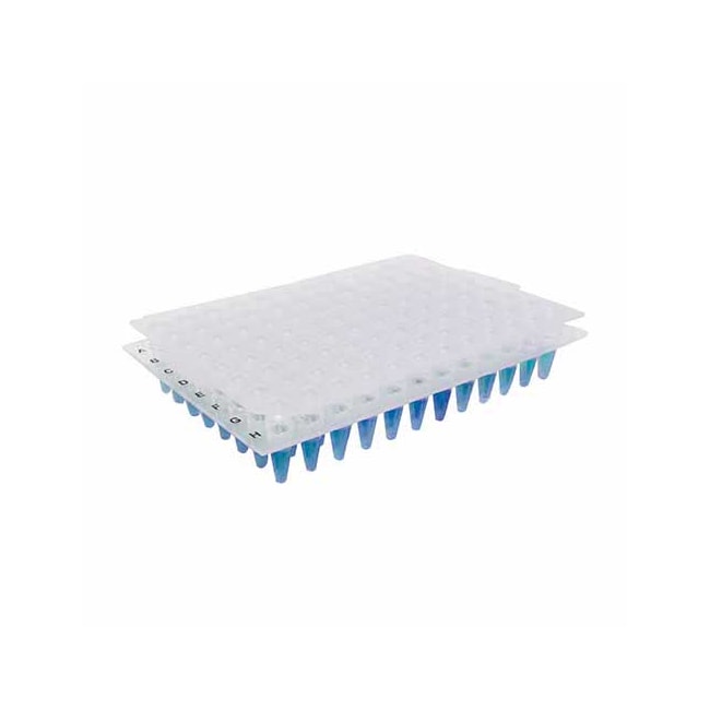 Borracha Seladora Para Microplacas PCR 96 Poços Pacote com 5 Unidades Kasvi-49a42684-35d9-445a-9631-eb1c7d347b46
