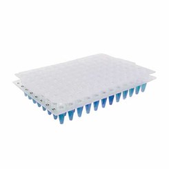 Borracha Seladora Para Microplacas PCR 96 Poços Pacote com 5 Unidades Kasvi