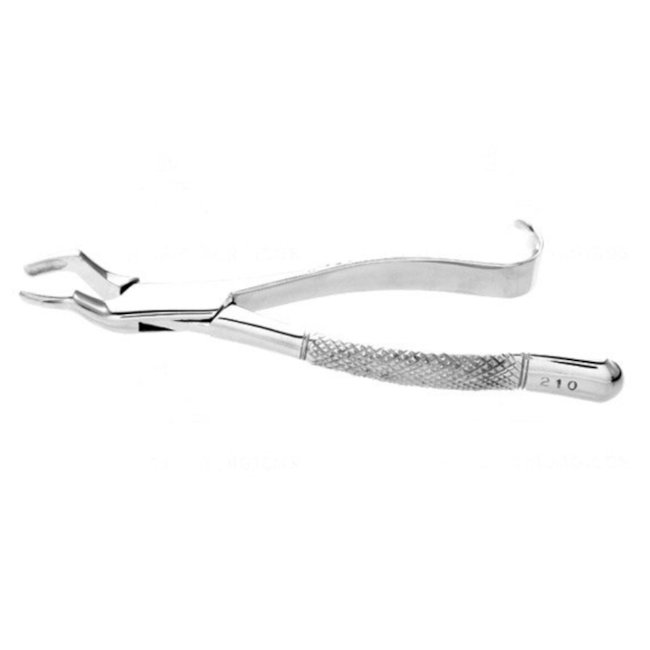 Boticão Adulto Nº210 Para Sisos Superior Ambos os Lados-7f99c20f-0c1c-4142-abb7-787350b0ae15