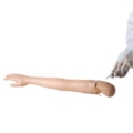 Braço para Treino de Injeção em Músculo Deltoide e Veias-93a64f30-3da0-4985-b03d-a5c0ff107316