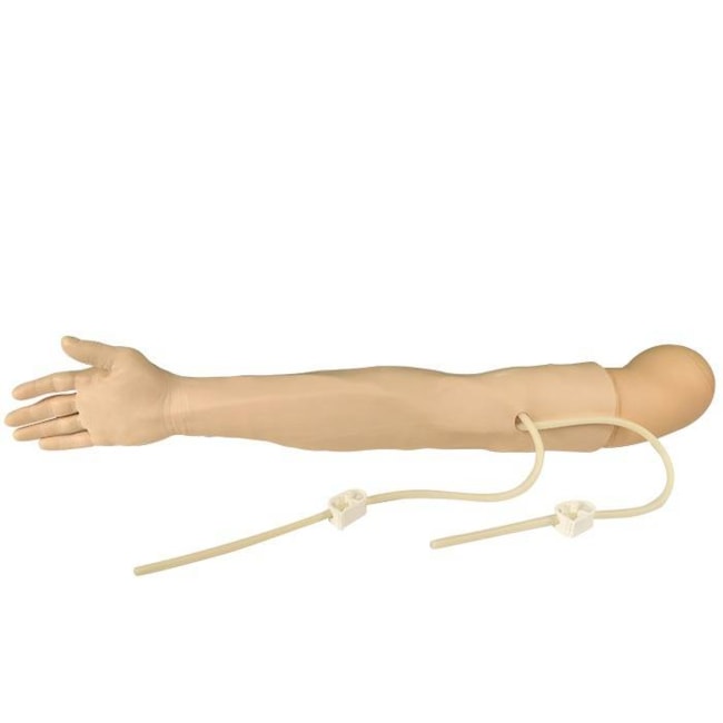 Braço para Treino de Injeção em Músculo Deltoide e Veias-e6eb1873-e3d5-475c-a4ab-ecc314d53898