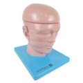 Cabeça em Disco Corte Axial-2e5ccf4c-da04-43ad-a93d-6d8f486ae976