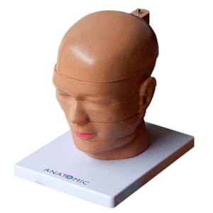 Cabeça em Disco Corte Axial