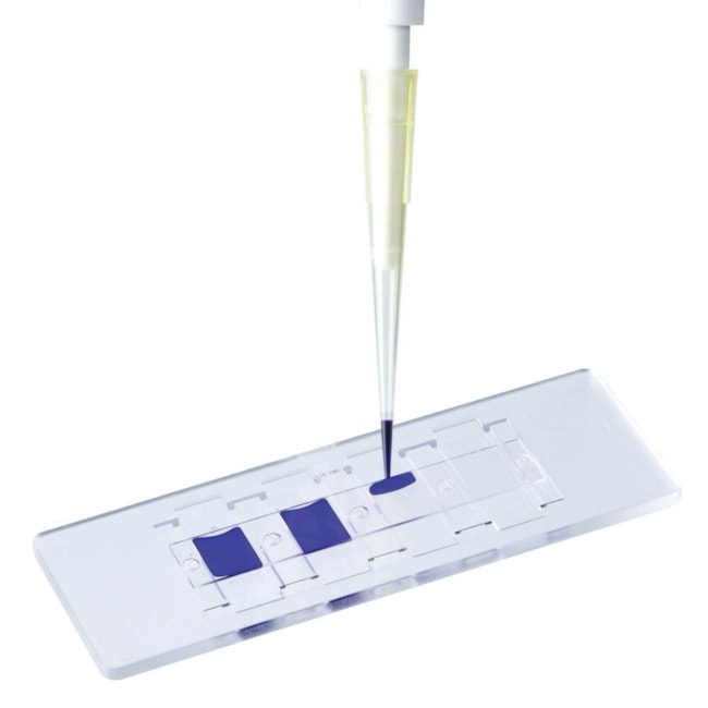 Câmara de Neubauer Descartável-5ea81e12-9e7f-4f7a-bdb1-93f1ca3fc80a