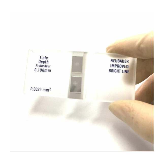 Câmara de Neubauer Espelhada-bdb37599-91aa-468a-8125-4f7d6150edf9