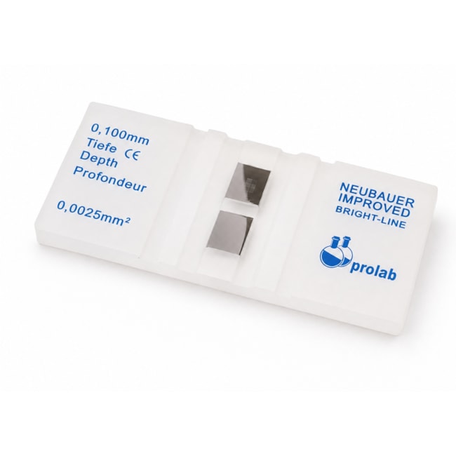 Câmara de Neubauer Espelhada-37f787c1-6a85-4855-a097-ce295ad2aaab