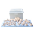 Coluna Vertebral Desarticulada-304ed65f-298c-4424-9f4a-09595c039009