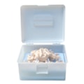 Coluna Vertebral Desarticulada-e46f7824-f7f1-4720-b7c2-10728a771d63