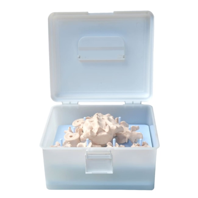 Coluna Vertebral Desarticulada-1f6f5ada-7000-4ff9-8e0c-8886dea96b18