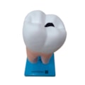 Dente Molar Ampliado Saudável e Cárie-7066d791-dd2a-4189-bf3d-c41b4af67b1d