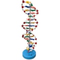 Dupla Hélice de DNA-54fa1fe0-44be-41f0-b5c6-05074036d0dd