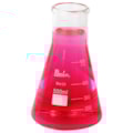 Erlenmeyer Boca Larga 50ml-1edbc3e9-9517-45f5-9d67-54115f3ba30a