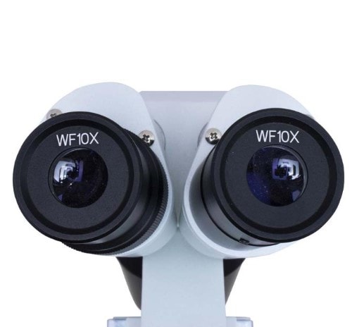 Estereomicroscópio Binocular Aumento de 20X 40X e 80X | Prolab