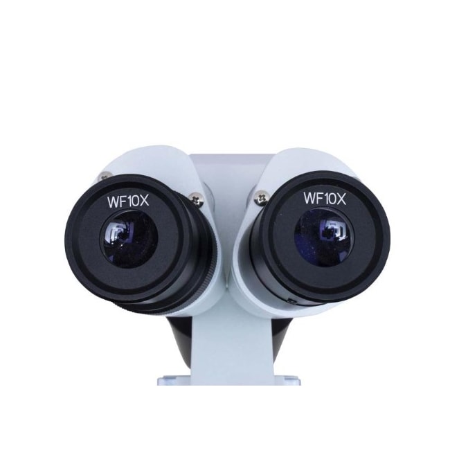 Estereomicroscópio Binocular Aumento de 20X 40X e 80X-63dcef38-bf5c-473d-8c96-c75cd7c47b5c