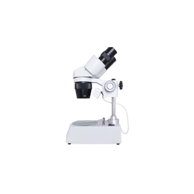 Estereomicroscópio Binocular Aumento de 20X 40X e 80X-9c8f13dd-e71e-4dfc-af84-38914a55e378