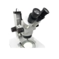Estereomicroscópio Embriológico Binocular Com Zoom de Até 180x-1d62a1be-9436-4584-987b-20753fcac0b4
