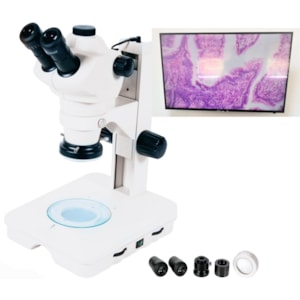 Estereomicroscópio Trinocular Com Câmera e Zoom