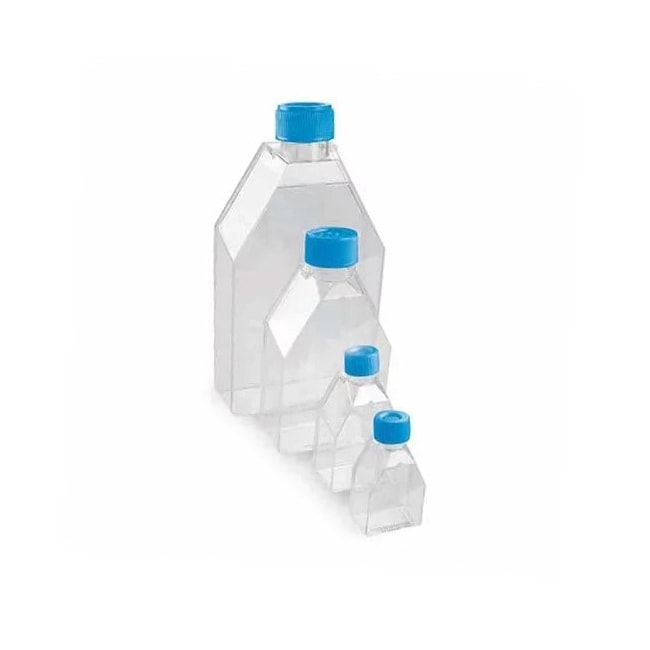Frasco Para Cultura Celular 25cm Kasvi Pacote com 10 Unidades-33e011d6-a273-42f7-b213-f60a0ec9efa9