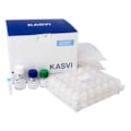 Kit de Extração de DNA Mini Spin Kasvi-e8f7547c-b44a-4b4d-9f82-5bb7efeb2d6a