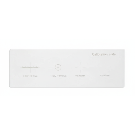 Lâmina Para Calibração de Microscópio