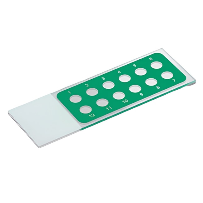Lâmina Para Imunofluorescência 12 Orificios de Teflon-17a0bd34-aa12-4cb5-8010-f145e80ced38