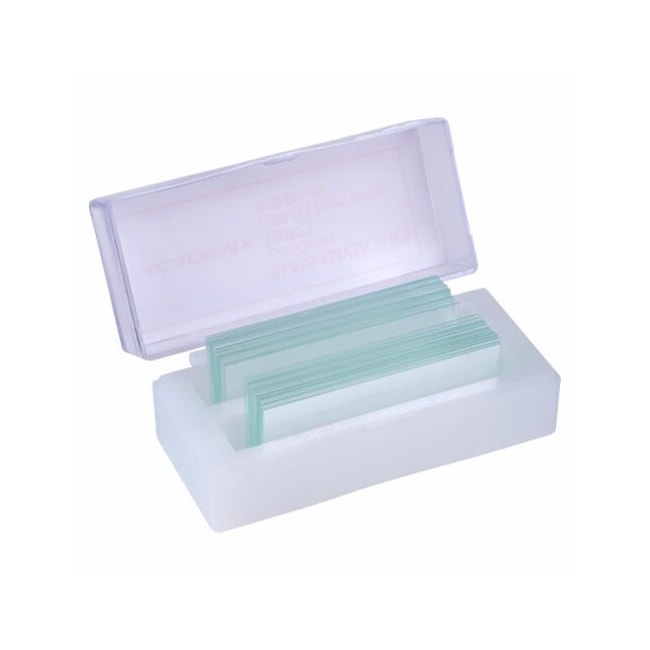 Lamínula para Microscopia Retangular Tamanho 24 x 60mm c/100 Unidades-ad8dea78-a238-4ebe-b796-986b4ad93224