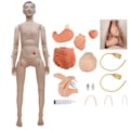 Manequim Adulto Bissexual com Órgãos Internos para Treino de Enfermagem-48a658f8-291c-4e1b-983c-80bd900271fe