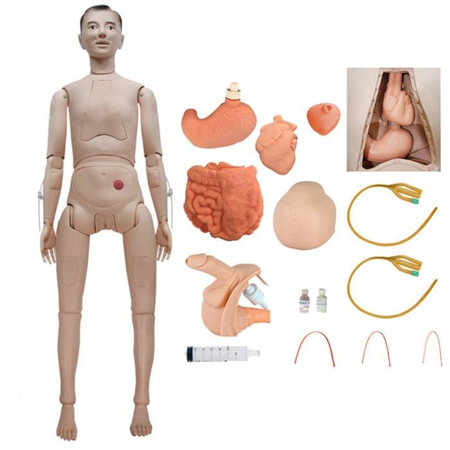 Manequim Adulto Bissexual com Órgãos Internos para Treino de Enfermagem-8a438643-6190-4404-9b49-65c6f37db508