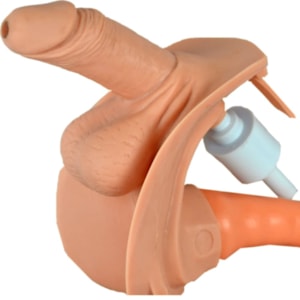 Manequim Adulto Bissexual para Treino de Enfermagem, com Braço Avançado e Órgãos Internos