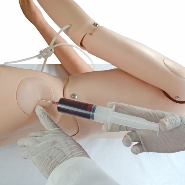 Manequim Adulto Bissexual para Treino de Enfermagem, com Braço Avançado e Órgãos Internos-dddbe6db-54fb-4b02-8a87-10c3d266a102