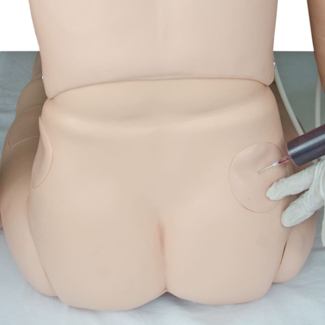 Manequim Adulto Bissexual para Treino de Enfermagem, com Braço Avançado e Órgãos Internos-7a39faa6-4219-4178-819b-f1db4dd90b9a