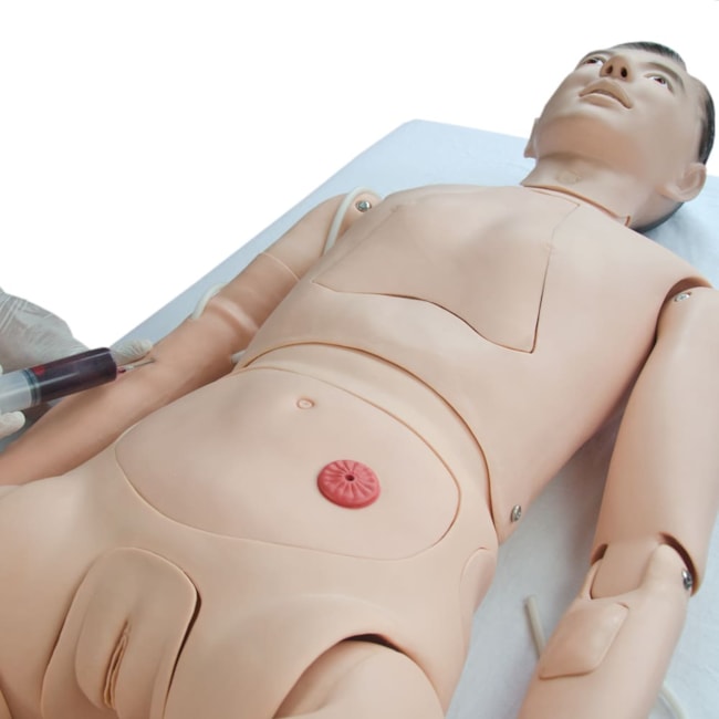Manequim Adulto Bissexual para Treino de Enfermagem, com Braço Avançado e Órgãos Internos-776ba7b0-e01c-4bf2-856d-7a63598ddd02