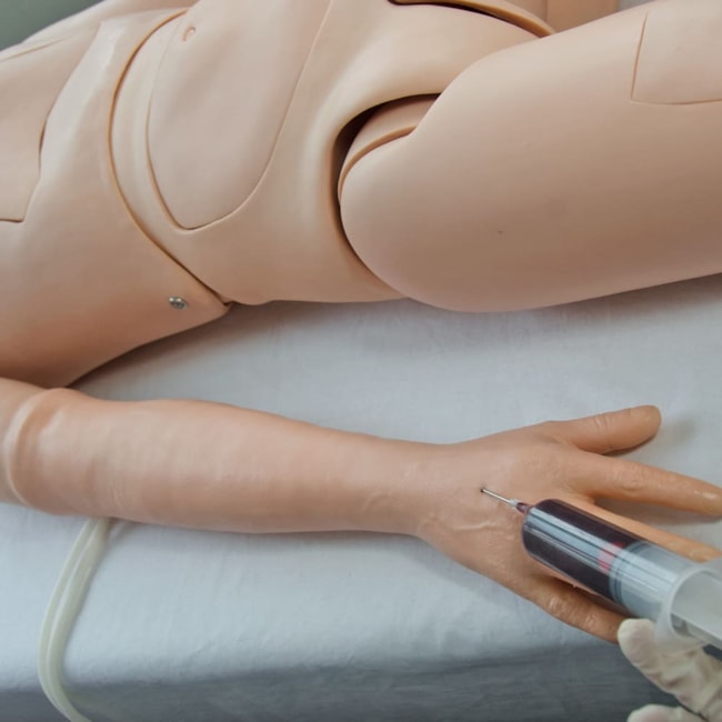 Manequim Adulto Bissexual para Treino de Enfermagem, com Braço Avançado e Órgãos Internos-88fb9e27-15fd-42e4-bb69-20037b58a2c5