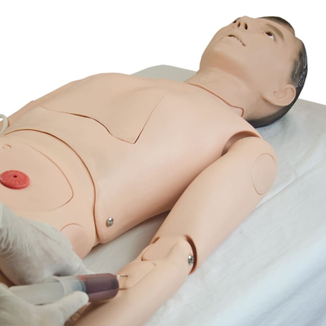 Manequim Adulto Bissexual para Treino de Enfermagem, com Braço Avançado e Órgãos Internos-bbeb53e7-3753-464b-b3f3-fa6a7d9e4feb