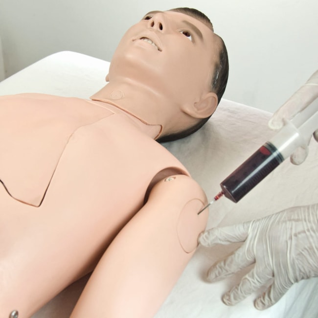 Manequim Adulto Bissexual para Treino de Enfermagem, com Braço Avançado e Órgãos Internos-2064522a-a752-47d2-8d62-37116f8e3d5c