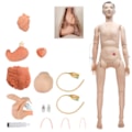 Manequim Adulto Bissexual para Treino de Enfermagem, com Braço Avançado e Órgãos Internos-135fc313-f6de-4c24-8da5-f1e82a472cf8
