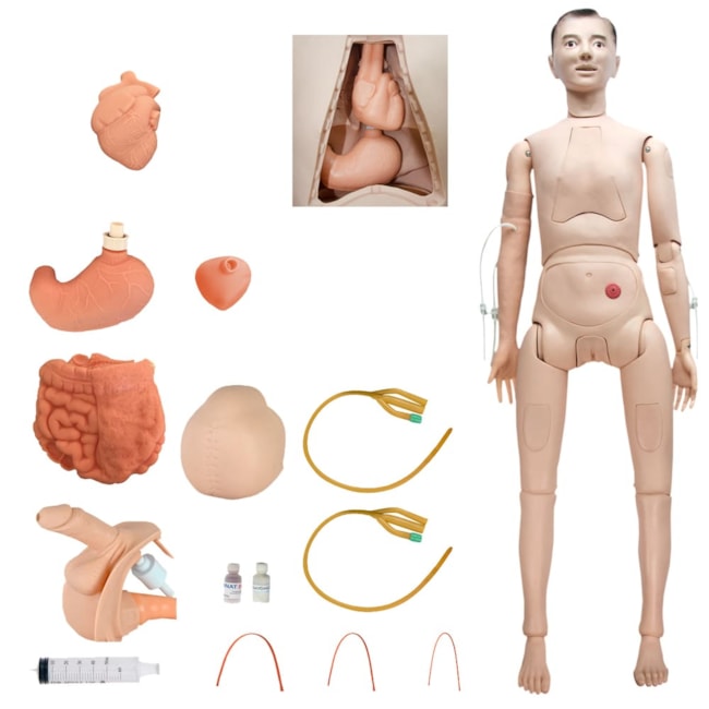 Manequim Adulto Bissexual para Treino de Enfermagem, com Braço Avançado e Órgãos Internos-09334ae0-9d8b-4a77-81e9-6dab81f61eb9