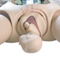 Manequim Avançado de Parturiente Neonatal Simulador com RCP e Suporte de Emergência-584628f0-9aa7-43f2-a3b6-9b5ad807fcf0