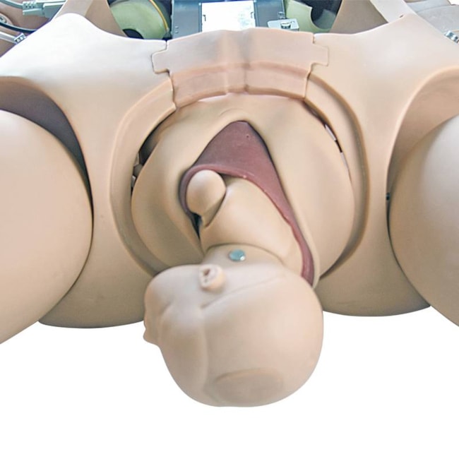 Manequim Avançado de Parturiente Neonatal Simulador com RCP e Suporte de Emergência-621db2f8-a82a-4183-9007-f190a692a1e8