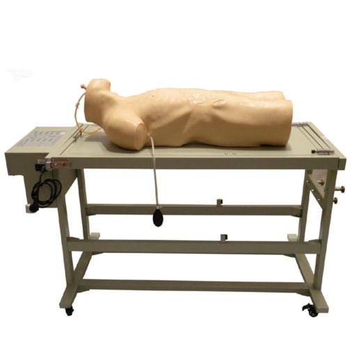Manequim Avançado de Treinamento Punção Abdominal e Exame de Percussão