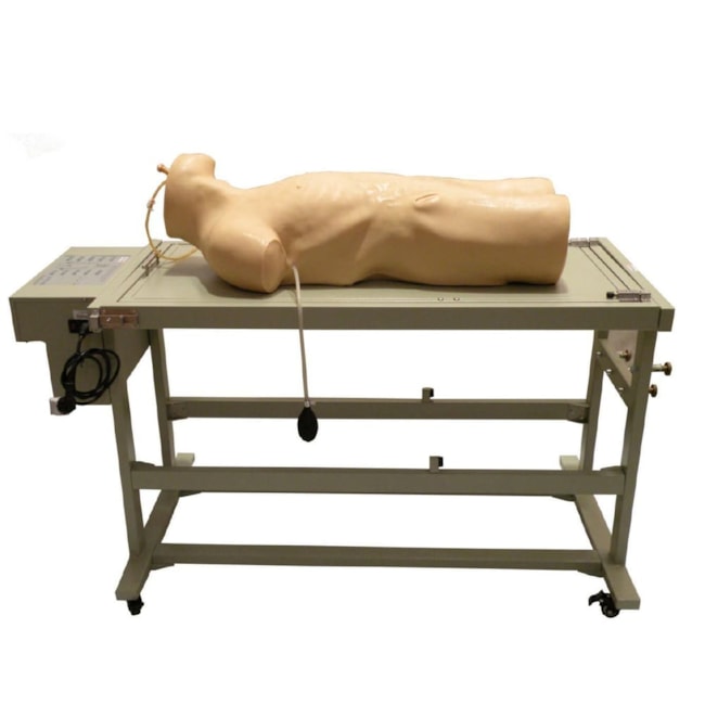 Manequim Avançado de Treinamento Punção Abdominal e Exame de Percussão-80954968-5427-4063-a5c1-395d07075a99