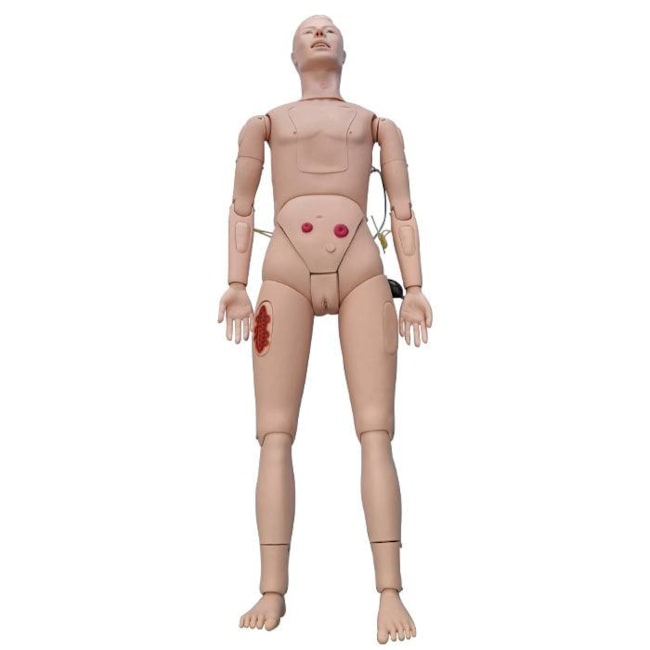 Manequim Bissexual com Órgãos Internos para Treino Avançado de Enfermagem-840a22f2-0513-4229-b98f-5d2fe1ca15b2