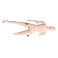 Manequim Bissexual com Órgãos Internos para Treino Avançado de Enfermagem-9687f876-f579-44db-912f-64c73a804be6