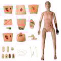 Manequim Bissexual com Órgãos Internos Simulador para Cuidados de Enfermagem e Trauma-ed115ecf-cf55-4e48-b48e-53d830c092ae