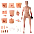 Manequim Bissexual com Órgãos Internos Simulador para Cuidados de Enfermagem e Trauma-4438fdd7-335c-4861-ae3b-3f6b8d8f2074