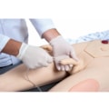 Manequim Bissexual com Órgãos Internos Simulador para Treino de Enfermagem-ef033c2c-e5b1-4706-82b5-0af347e3c19d