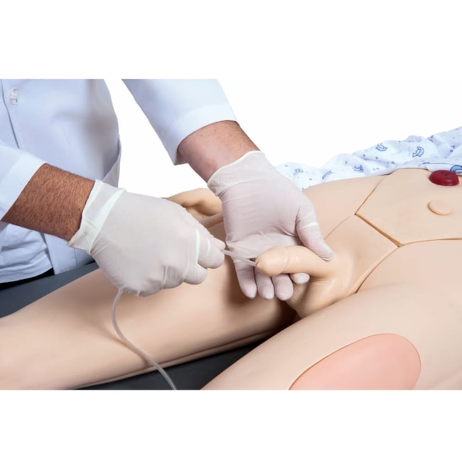Manequim Bissexual com Órgãos Internos Simulador para Treino de Enfermagem-2fb75886-49e6-42bc-b6a8-bb76196eebb0